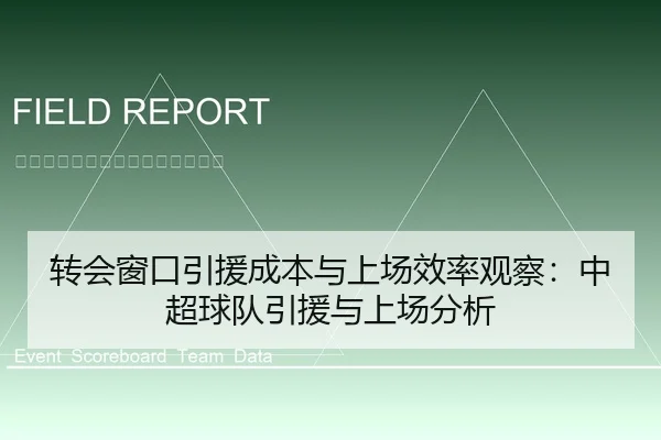 转会窗口引援成本与上场效率观察：中超球队引援与上场分析
