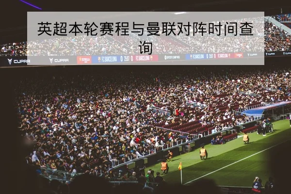 中超积分榜实时排名与赛程影响查询