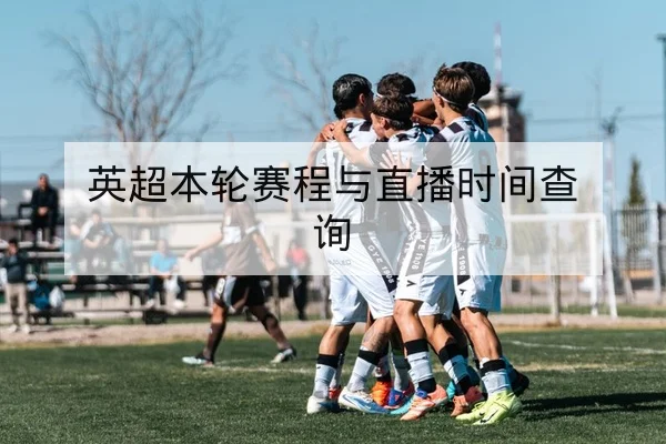 中超积分榜实时排名与赛程影响查询
